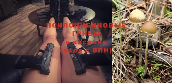 ешки Алексин
