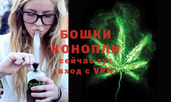 индика Балабаново
