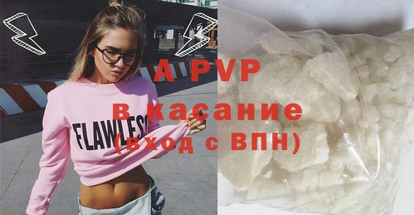 индика Балабаново