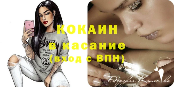 индика Балабаново