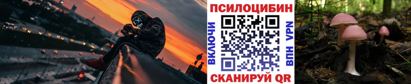 kraken рабочий сайт  Кремёнки  Псилоцибиновые грибы Cubensis  цены  